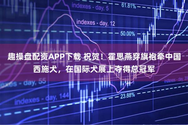 趣操盘配资APP下载 祝贺！霍思燕穿旗袍牵中国西施犬，在国际犬展上夺得总冠军