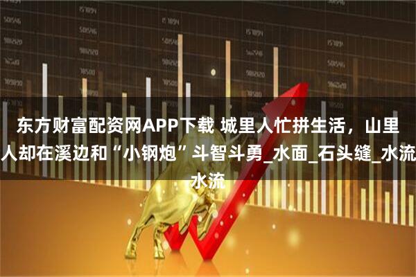 东方财富配资网APP下载 城里人忙拼生活，山里人却在溪边和“小钢炮”斗智斗勇_水面_石头缝_水流